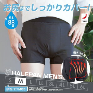 փpc jp ARpc {NT[pc Y eʃ^Cv A h { zpc ͂p M88 88cc MTCY | [֑