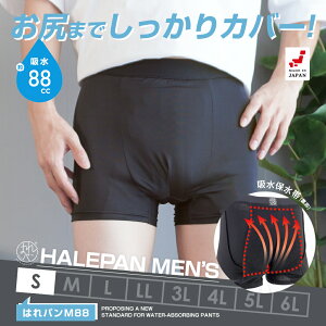 փpc jp ARpc {NT[pc Y eʃ^Cv A h { zpc ͂p M88 88cc STCY | [֑