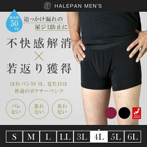 փpc ARpc jp 傫TCY {NT[pc Y ǂR AW~h~ 傢 Ԃ炵 т A h { zpc ͂p 50cc 4LTCY | 