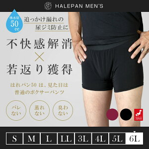 փpc ARpc jp 傫TCY {NT[pc Y ǂR AW~h~ 傢 Ԃ炵 т A h { zpc ͂p 50cc 6LTCY | 