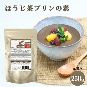 قv̑f 250g 퉷 Ɩp  v~bNX  fU[g mَq aXC[c W[GtV[ h