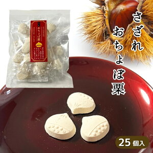 ꂨڌI 25 퉷 OgIgp ЂTCY  炭 aَq   fU[g Y