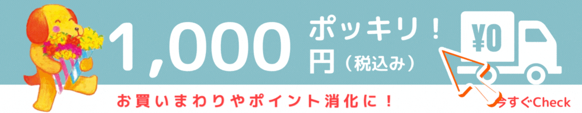 1000円ポッキリ
