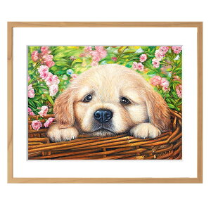 _ ܂ƂߔN[| ^  Vi z Q A[g y JS̒̎q z  G W[N[ v}OtB G v[g j Mtg Ⴊ҃A[g |Cg