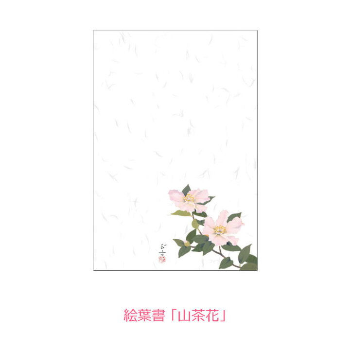 楽天市場 最大 10 Offクーポン 花の絵葉書セット 6枚組 お得 まとめ買い 礼状 季節の便り 秋 冬 春 大人 日本画 おしゃれ ポストカード ハガキ 私製 絵はがき 社会貢献 障がい者アート 自立支援 ポイント消化 Mfpa Japan Shop 口と足で描いた絵