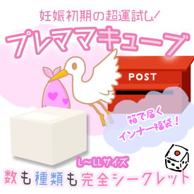 15点入り！M-L　L-LL　妊娠初期から使える！福箱 「 プレママキューブ 」マタニティ 福袋 肌着 下着 ショーツ ブラ インナー 妊婦 妊娠初期 プレママ