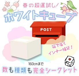 インナー肌着が18点入った福箱 「 ホワイトキューブ 」福袋肌着 インナー90〜 95 110 120 130 140 150タンクトップ キャミソール Tシャツ ロンT トップス ブリーフ トランクス 男の子 女の子