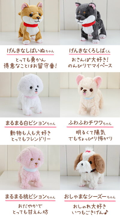 楽天市場】マザーガーデン とことこおさんぽシリーズ 全12犬種犬の 
