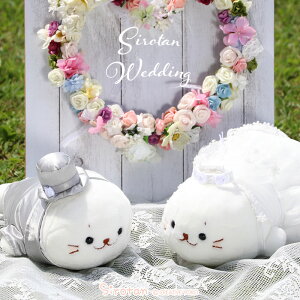 낽 EFfBO }XRbg ZbgEFfBOh[ EFJh[ EGfBO  I VYVw t 񎟉 EFJ{[h Mtg v[g j ʂ 