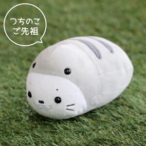 ̂ 낽 }XRbg yPizsN/xr[/ct̂ ʂ у}XRbg 炵 AUV 킢 LN^[ }U[K[f