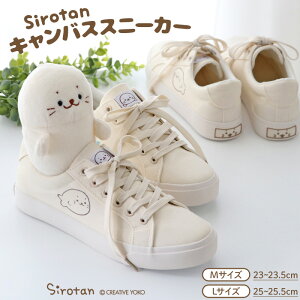 낽 LoXXj[J[ sMTCY23.0`23.5cm/LTCY25.0`25.5cmtLoX JWA Vv jZbNX Xj[J[ C  炵 AUV 킢 LN^[ V 