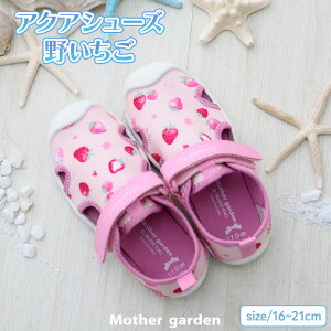 }U[K[f ANAV[Y sjR[/삢t 18cm 19cm 21cmV C LbY }V[Y p V[Y EH[^[V[Y r[`V[Y V C  W[ 