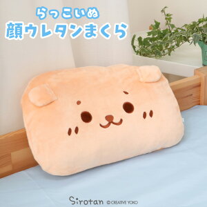 낽 ڂ ܂  29cm×43cm s낽 ʁtfB[X LbY q ܂ s[ Q xbh I[V[Y V 炵 AUV 킢 LN^[ v[