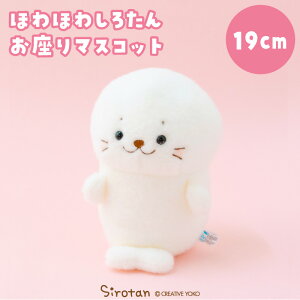 낽 قق킨}XRbg 19cmʂ }XRbg ʂ }XRbg    l`   炵 AUV 킢 LN^[