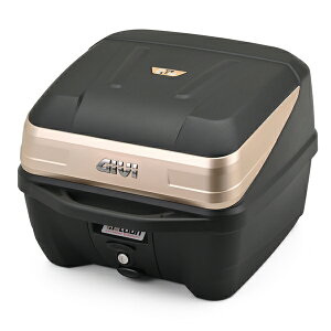 ������������GIVI 41131/ B32GOLD(2M)�y�e�ʁF32���b�g���z���m���b�N�P�[�X B32 BOLD�V���[�Y�y���E200���̔��L�O���f���z�W�r/�f�C�g�i