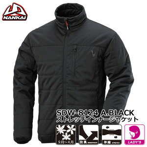 iJC SDW-8124 Xgb` Ci[WPbgiA.ubNj