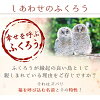 敬老の日プレゼントギフト名入れ誕生日結婚祝い還暦祝い長寿祝いおしゃれ男性女性名前入り有田焼夫婦湯呑ペアふくろう
