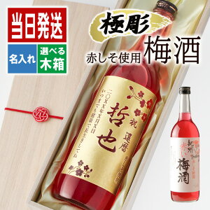     Mtg v[g ~ Ԃ~  LOi JXj j {g oYj AR[ Ԃ 720 {g j Zbg j җ 720ml   N 