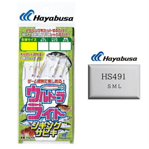 y10/24~10/27 P3{z WOTrL nuT HS491 hEgCgWMOTrL 2{b2Zbg Hayabusa hނ A[ WMOTrL ނ