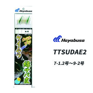 nuToTrL TrL d| nuT o AW PCTo&΃To 8{b1Zbg TTSUDAE2 Hayabusa TrLd| ދ ދ