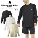 carhartt WIP カーハート・ダビュルーアイピー ロングスリーブアメリカンスクリプトTシャツL/S American Script T-Shirt長袖 厚手 ロングTシャツロゴT コットン 着心地抜群レディース対応 ユニセックス 男女兼用【送料無料】【メール便】【即納】