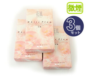 yzԕ@~@ol 3Zbg3ZbgIyz[ފ ݂ɂ𑗂   Qpi Q 𑗂 r   t ފ  p 