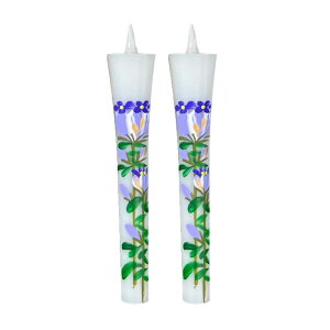 G[\Ni`j 2{ 12̉ԂƓVE̊GIׂyAA[g̑쉮z