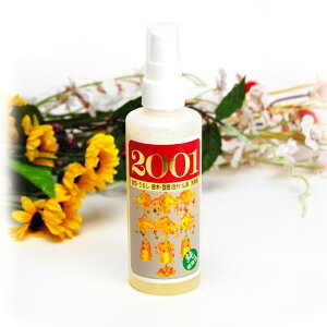  2001 ƒp e200ccypizyz[ { |pi |p N[i[]yAA[g̑쉮z