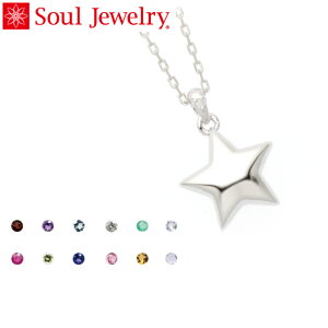 ⍜y_g Soul Jewelry X^[ Pt900 v`i@11ނ̒a΂Iׂ܂ i\[4Tԁj