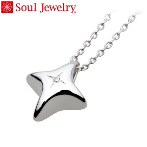 ⍜y_g Soul Jewelry X^CbVNX Pt900 v`iE_Ch i\[4TԁÊ͕sj