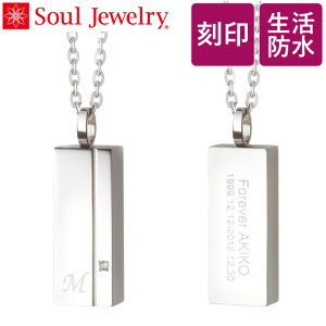 yhEXeXfށz XI 󂪂ł⍜y_g Soul Jewelry N^ i\[2TԁEsj