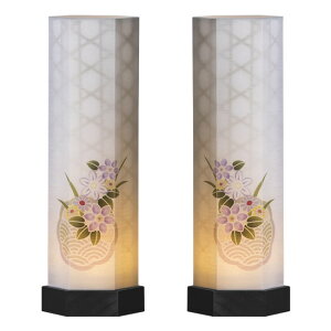 yn񓔁zn aƓ w؁x1ΓE2{Zbg LED R[hX(2970)