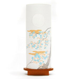 �y�n��񓔁z2976 �a�Ɠ� ���q��̍� LED���t