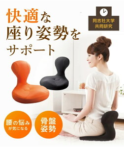 PROIDEA ivCfAj {lbc Ս֎q ziUjuБw pT|[g֎q perVbsO lC