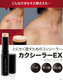 PROIDEA（プロイデア） カクシーラーEX カクシーラースティックタイプ 傷跡 肌 タトゥ 毛穴 ニキビ跡 くま隠しネコポス便発送商品