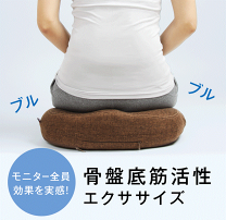 楽天市場】骨盤底筋クッションの通販