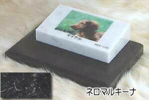 嗝΂Ɏʐ^č삵܂B@ybĝipj嗝΁l}L[i@tbg^CvI[_[bZ[WEI[_[CAEgʐ^zuE錾t܂ł