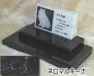 嗝΂Ɏʐ^č삵܂B@ybĝipj嗝΁l}L[i@IWi@_u^CvI[_[bZ[WEI[_[CAEgʐ^zuE錾