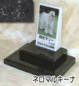 嗝΂Ɏʐ^č삵܂B@ybĝipj嗝΁l}L[i@g[@_u^CvI[_[bZ[WEI[_[CAEgʐ^zuE錾t