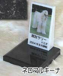 嗝΂Ɏʐ^č삵܂B@ybĝipj嗝΁l}L[i@g[^CvI[_[bZ[WEI[_[CAEgʐ^zuE錾t܂łR