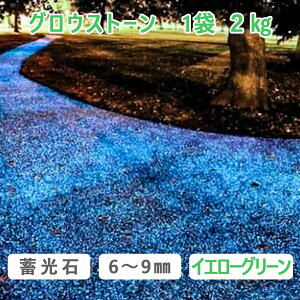 ~ OEXg[ 鍻CG[O[ 2kg 1܌ u C~l[V ANAE K[fjO Av[`