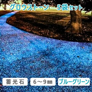 ~ OEXg[ 鍻u[O[ 2kg 5܌ u C~l[V ANAE K[fjO Av[`