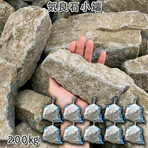  [ς ϐ ~ \ R CǐΏ[10܃Zbg/v200kgK[fbN K[fjO DIY Ԓd  KrI Ӑ y r