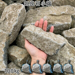  [ς ϐ ~ \ R CǐΏ[5܃Zbg/v100kgK[fbN K[fjO DIY Ԓd  KrI Ӑ y r