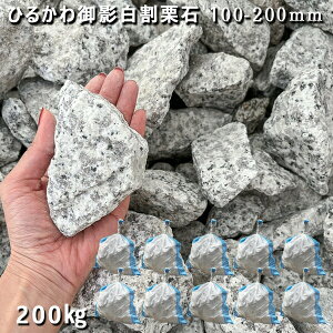  I Ӑ e΂Ђ邩eI΁i100`200mmj10܃Zbg/v200kgK[fbN K[fjO DIY Ԓd  KrI Ӑ y rbNK[f