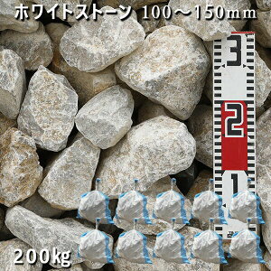  I Ӑ ΊDzCgXg[i100`150mmj10܃Zbg/v200kgK[fbN K[fjO DIY Ԓd  KrI Ӑ y rbNK[f