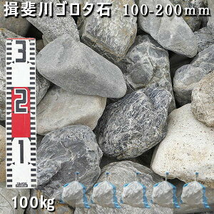 庭石 ゴロタ石 自然石 川石 玉石 ごろた揖斐川ゴロタ石(100-200mm)5袋セット/計約100kgガーデンロック ガーデニング おしゃれDIY 花壇 造園 ガビオン 砕石 土留め 池ロックガーデン 割栗石