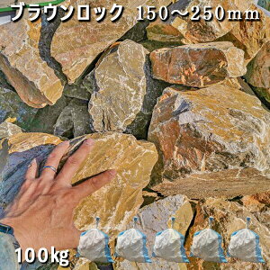  I 嗝 VR bNK[fuEbNi150`250mmj4`55܃Zbg/v100kgK[fbN K[fjO DIY Ԓd  KrI Ӑ y r