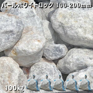  I Ӑ ΊD bNK[fp[zCgbNi100`200mmj5܃Zbg/v100kgK[fbN K[fjO DIY Ԓd  KrI Ӑ y r