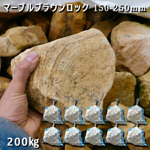  I Ӑ  bNK[f}[uuEbNi150-250mmj10܃Zbg/v200kgK[fbN K[fjO DIY Ԓd  KrI Ӑ y rnł̉O